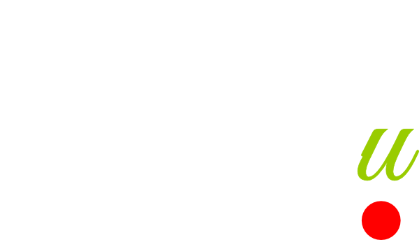 logo_stylou__blanc_v2-1